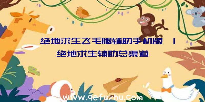 「绝地求生飞毛腿辅助手机版」|绝地求生辅助总渠道
